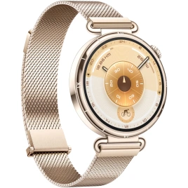 Смарт-часы Huawei Watch GT 6 41mm Gold/Gold Milanese (55020FVW)